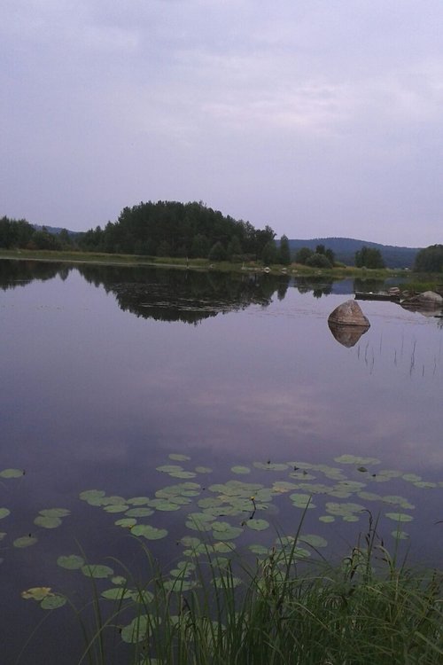 Kipuryhmä Kipuryhmä