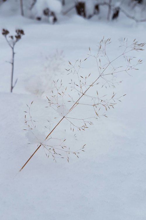 Ryhmänohjauksen jatkokurssi-ILMOITTAUDU! Ryhmänohjauksen jatkokurssi-ILMOITTAUDU!