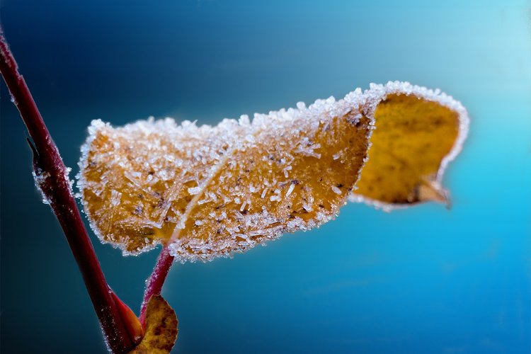 Messu, Hämevaaran kirkkopyhä Messu, Hämevaaran kirkkopyhä