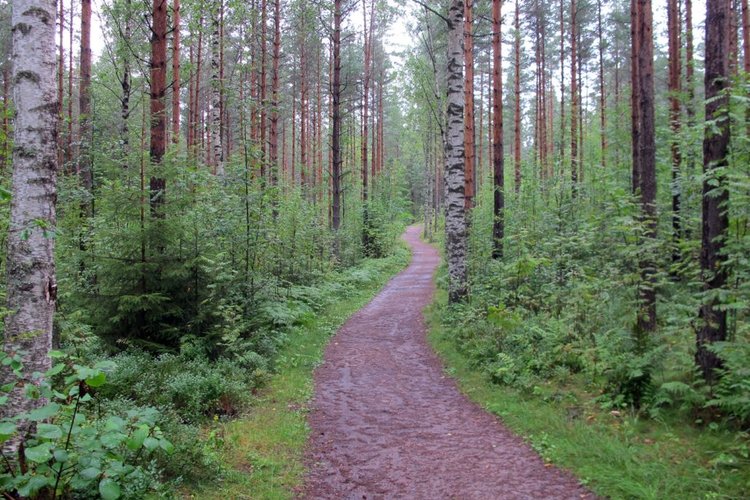 Perheiden vaelluspäivä Perheiden vaelluspäivä
