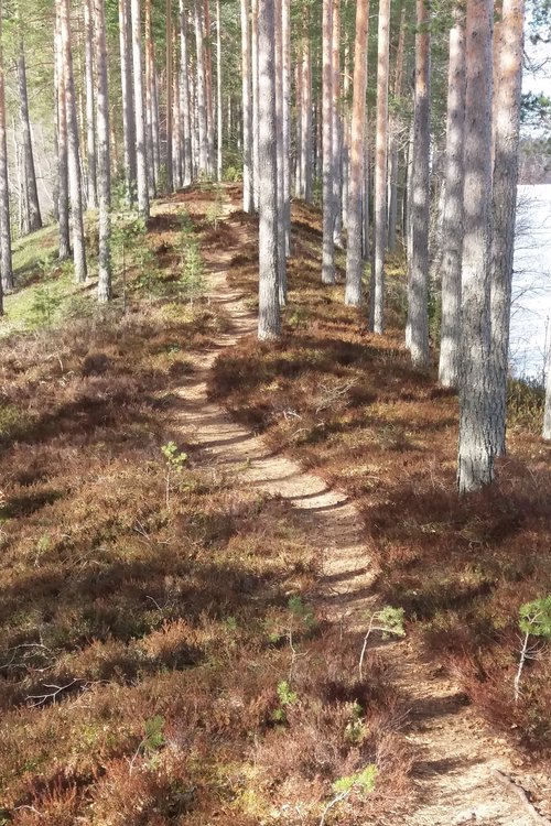 Retriittipäivä Helsingin pitäjän kirkonkylässä - hiljaisuuden meditaatioita ja rukoushetkiä Retriittipäivä Helsingin pitäjän kirkonkylässä - hiljaisuuden meditaatioita ja rukoushetkiä