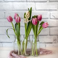 Taidepyhäkoulu Taidepyhäkoulu
