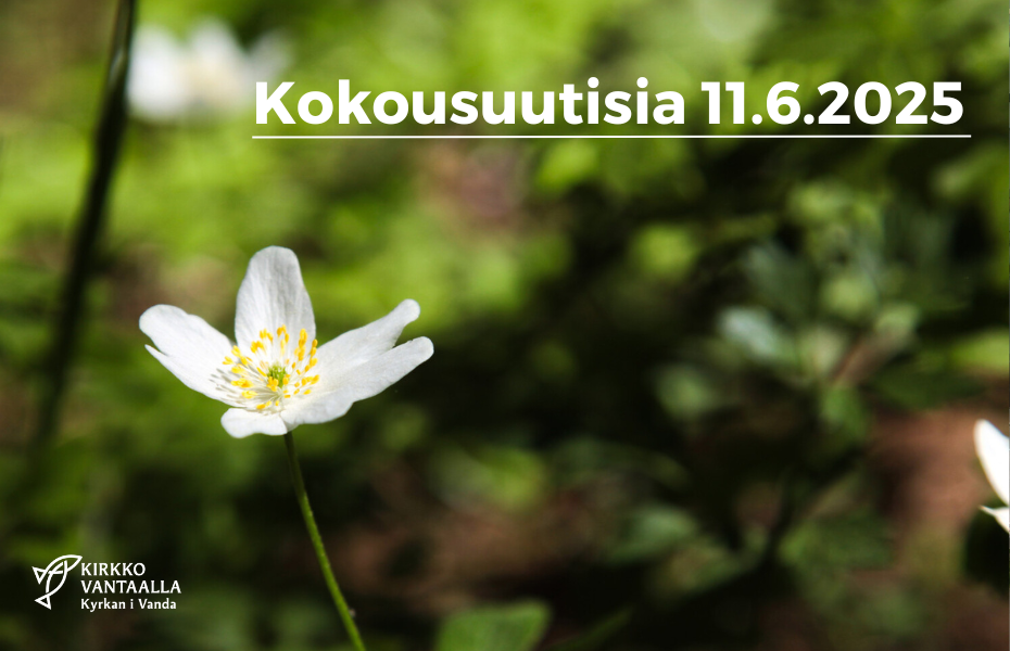 valkovuokko ja teksti kokousuutisia 11.6.2025