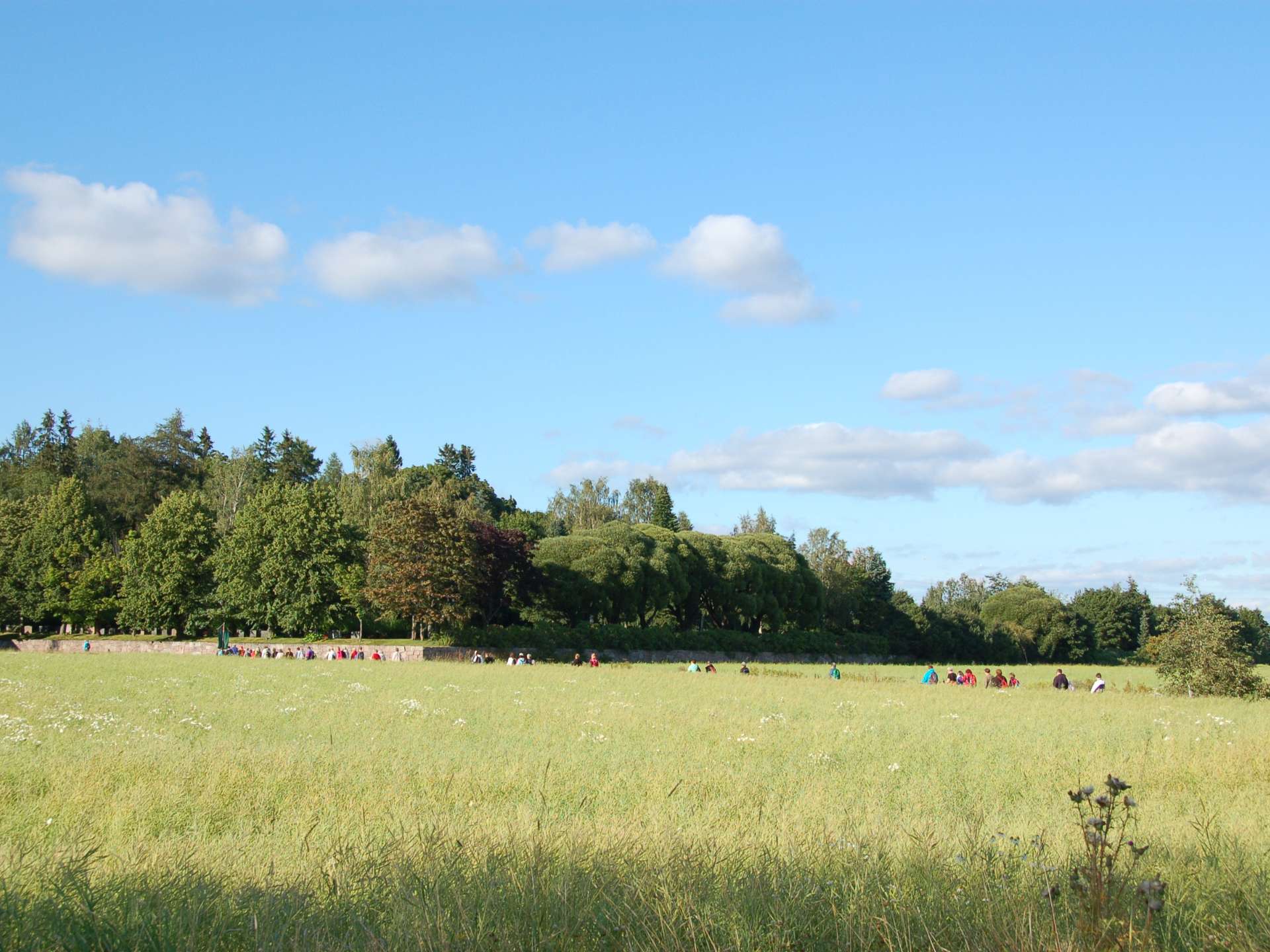 Aurinkoinen peltomaisema, jossa ihmiset vaeltavat jonossa eteenpäin