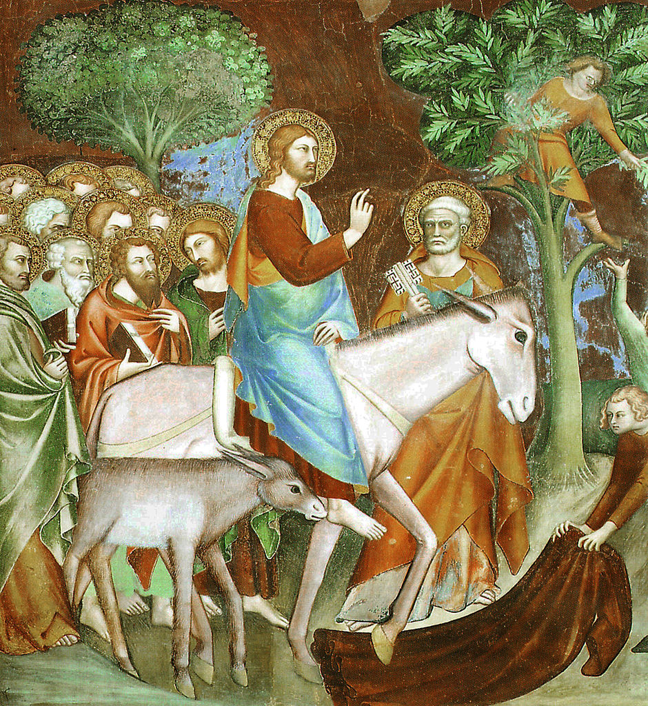 Kuva freskosta, jossa Jeesus ratsastaa aasilla vierellään aasinvarsa, ja häntä seuraa joukko ihmisiä, joku katkoo palmunoksia, joku levittää vaatetta tielle.