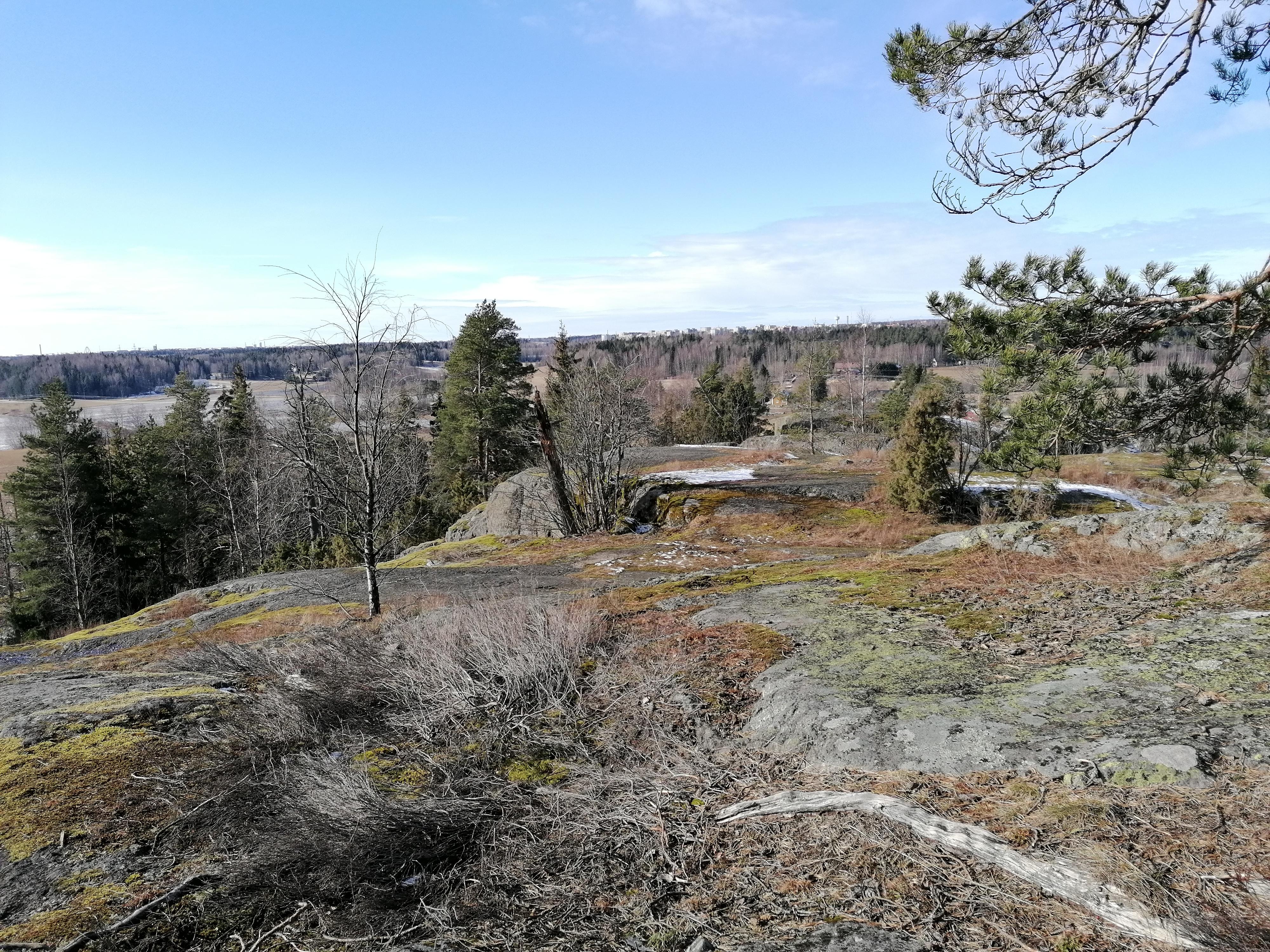VERKOSSA: Keskipäivän rukoushetki Sipoonkorvessa.