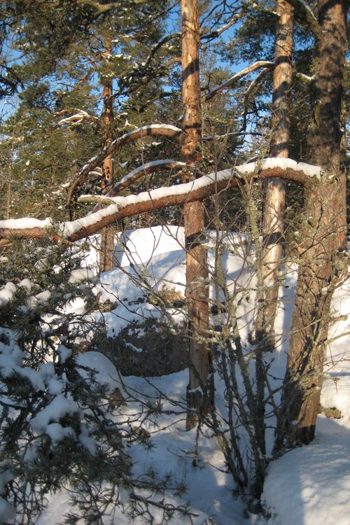 Tyynnytä minut Herra - palmusunnuntain retriitti 3.-5.4.2020 Tyynnytä minut Herra - palmusunnuntain retriitti 3.-5.4.2020