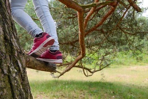 Metsäseikkailu Metsäseikkailu