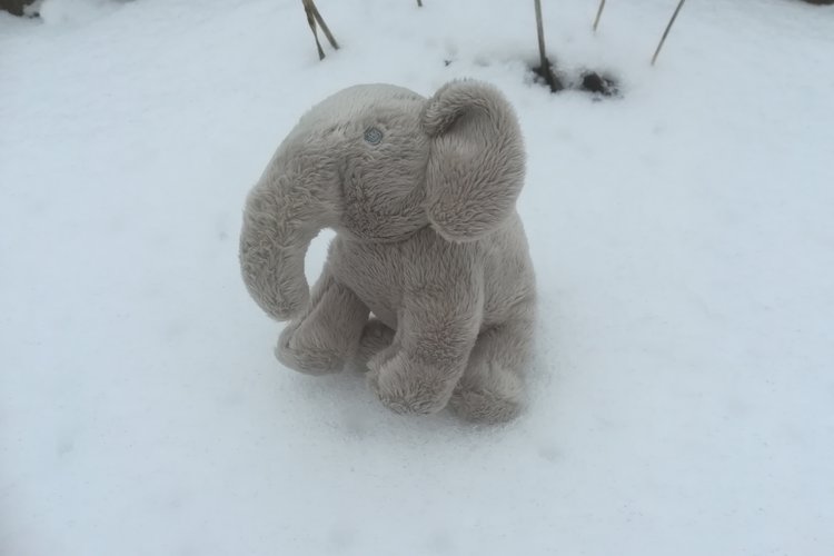 Pikkunorsun muskarikirkko Talven riemuja Pikkunorsun muskarikirkko Talven riemuja