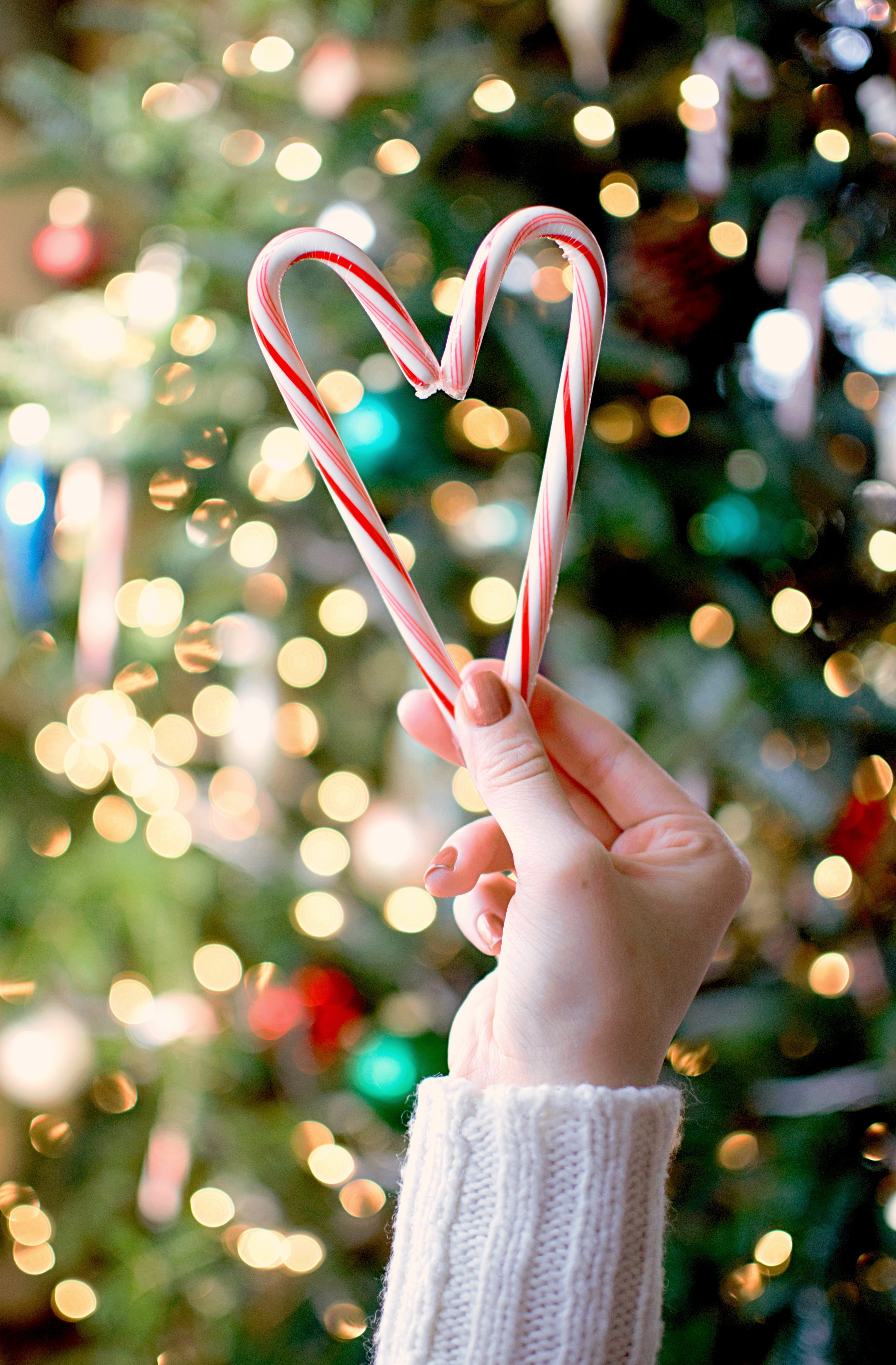 Käsi pitelee sydämen muotoista karamellitankoa. Taustalla joulukuusi.