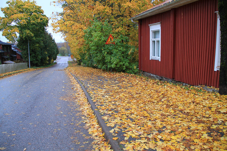 Kuninkaantiellä-näyttelyn avaus Kuninkaantiellä-näyttelyn avaus