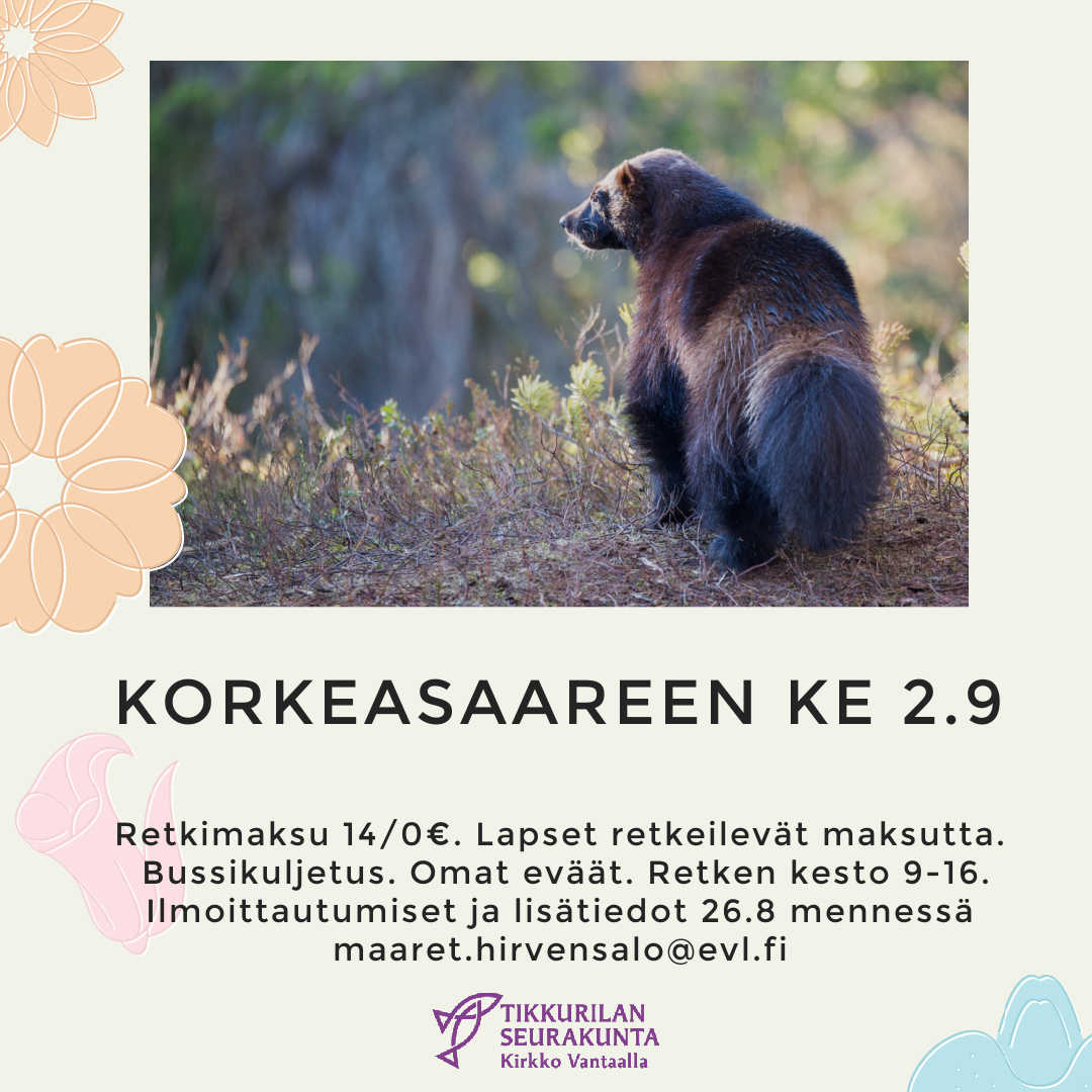 Retki Korkeasaareen Korkasaaren retki. Kuvassa ahma.
