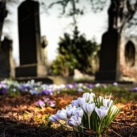 Fauré: Requiem Fauré: Requiem