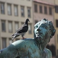 Messu Rekolassa Messu Rekolassa