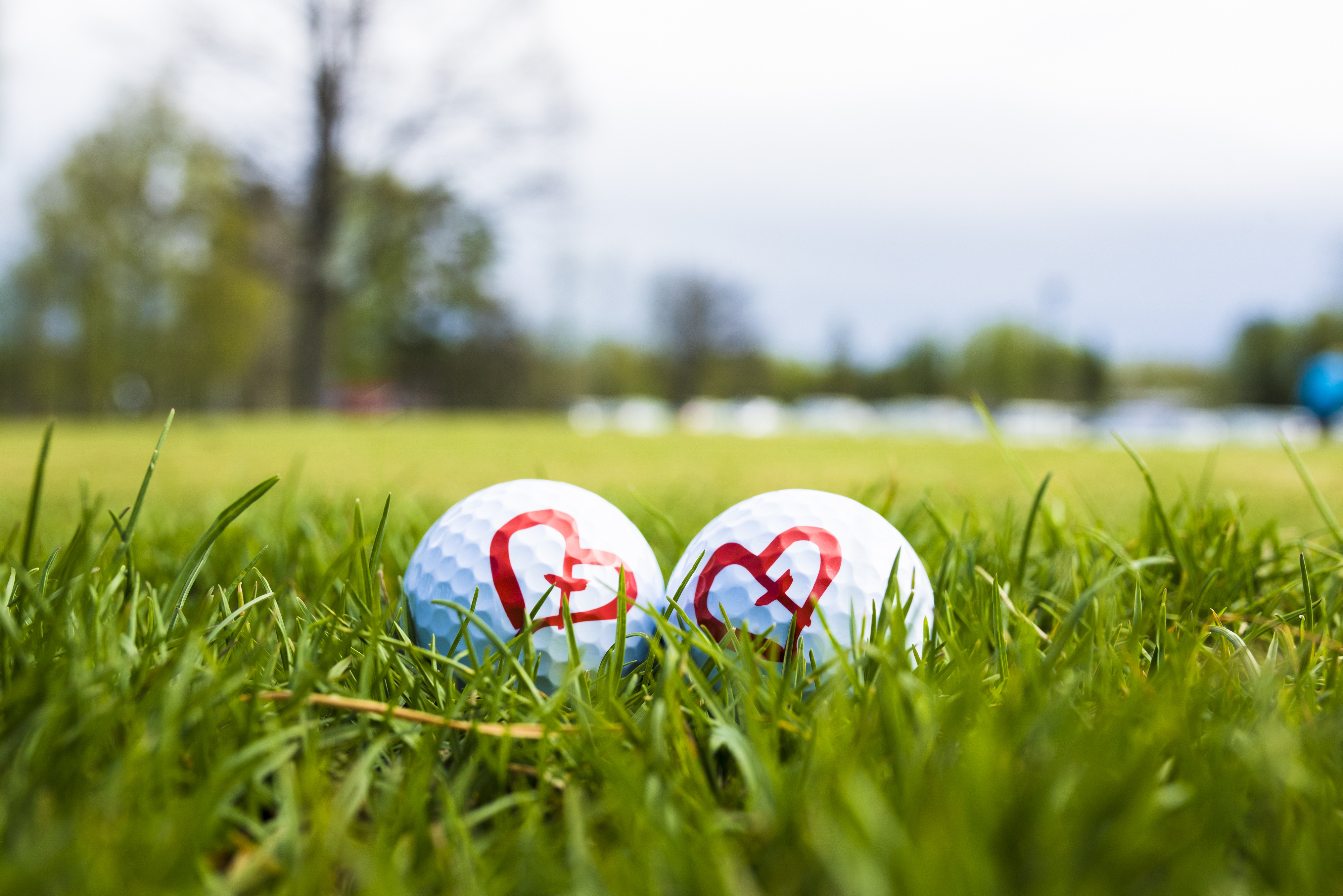 Kaksi Yhteisvastuukeräyksen sydänlogolla varustettua golfpalloa viheriöllä.