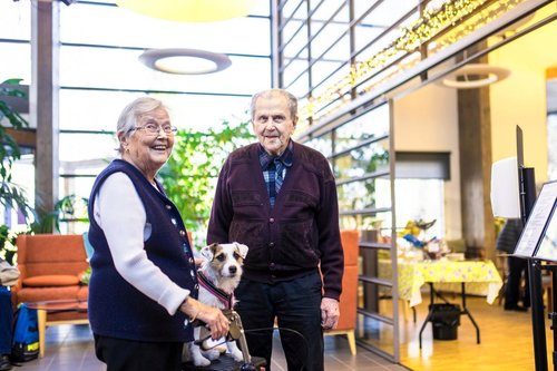 Ritva Kauramäki ja Veikko Peltola ovat tyytyväisiä elämäänsä Foibekartanossa. Talon koira on päässyt rollaa...