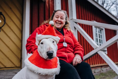 Tonttulakkipäinen koira ja omistaja istumassa rappusilla.