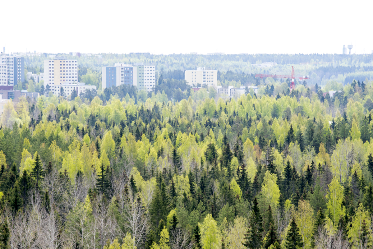 Rekolanmetsää kuvattuna Kulomäen täyttömäeltä.