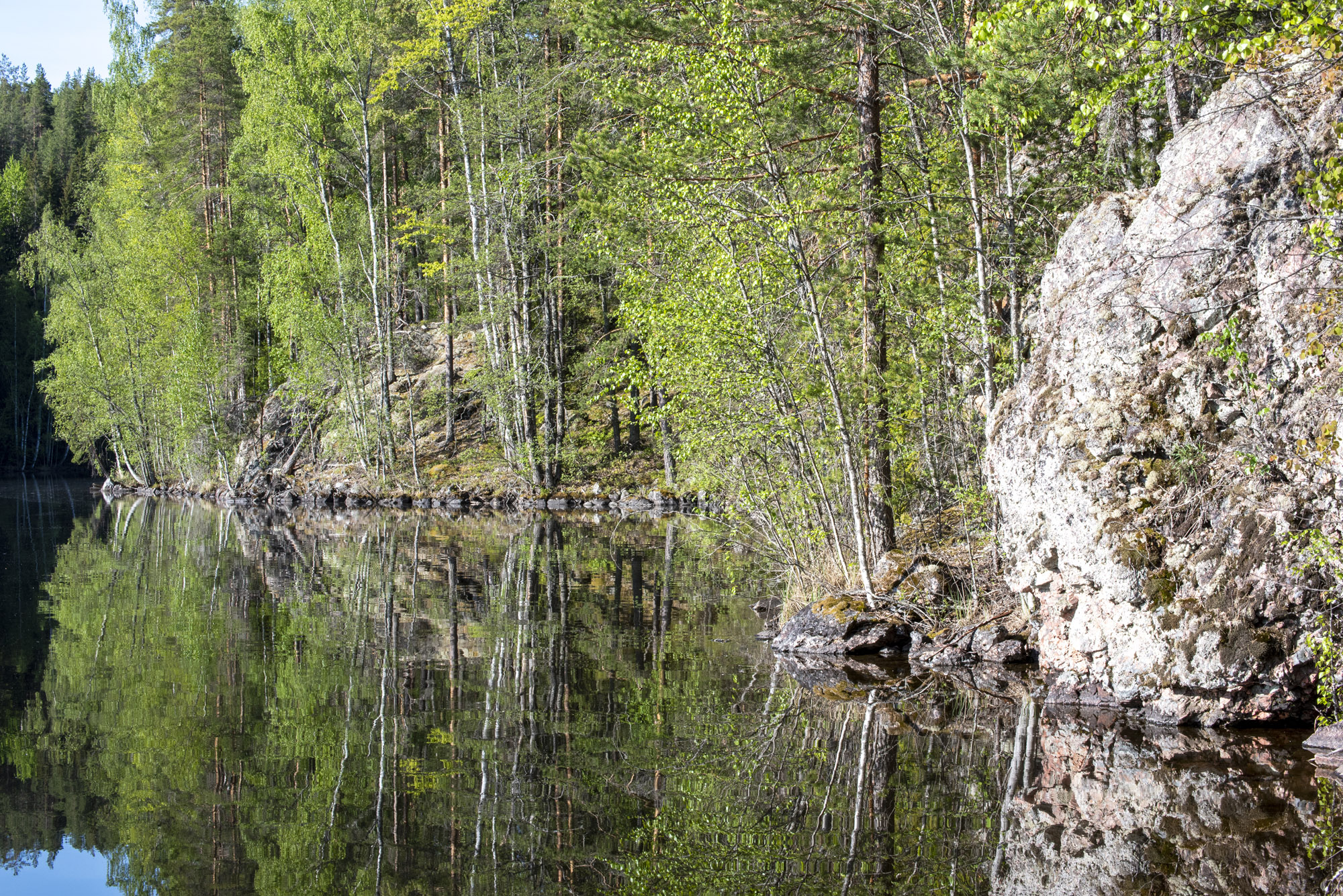 Tontunniemen metsä puut kivi ja järvi.jpg